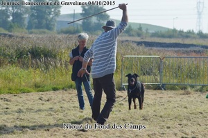 Journée Beauceronne de Gravelines (F) 04/10/2015